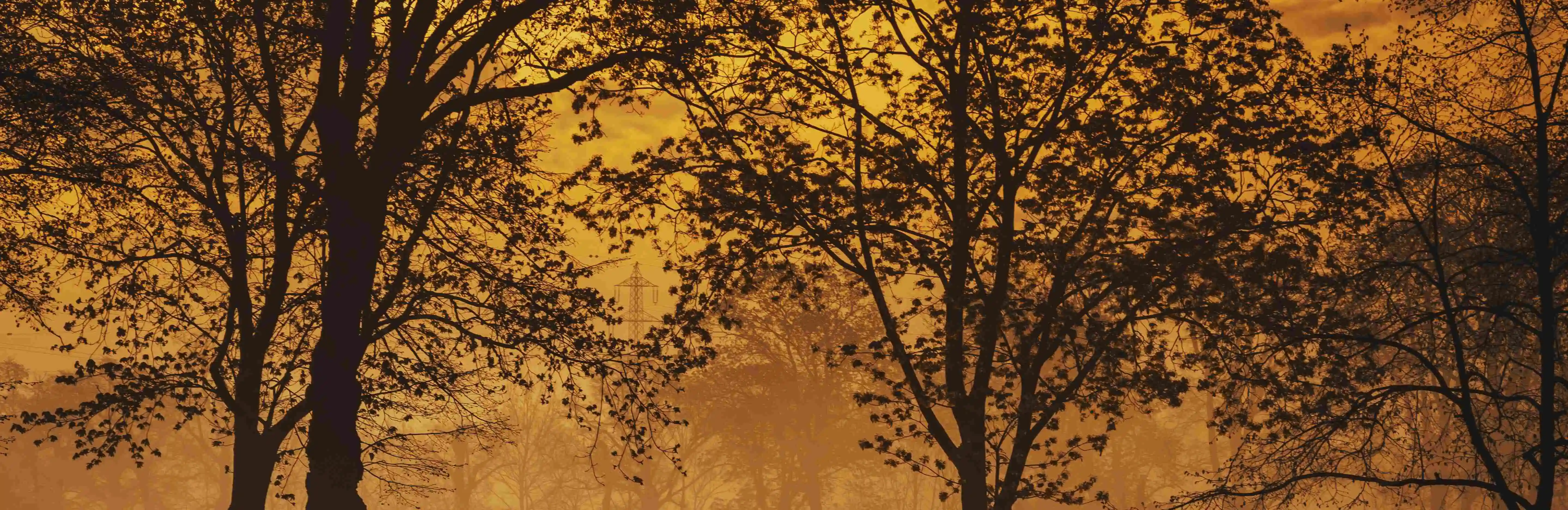 Discounted airline tickets banner